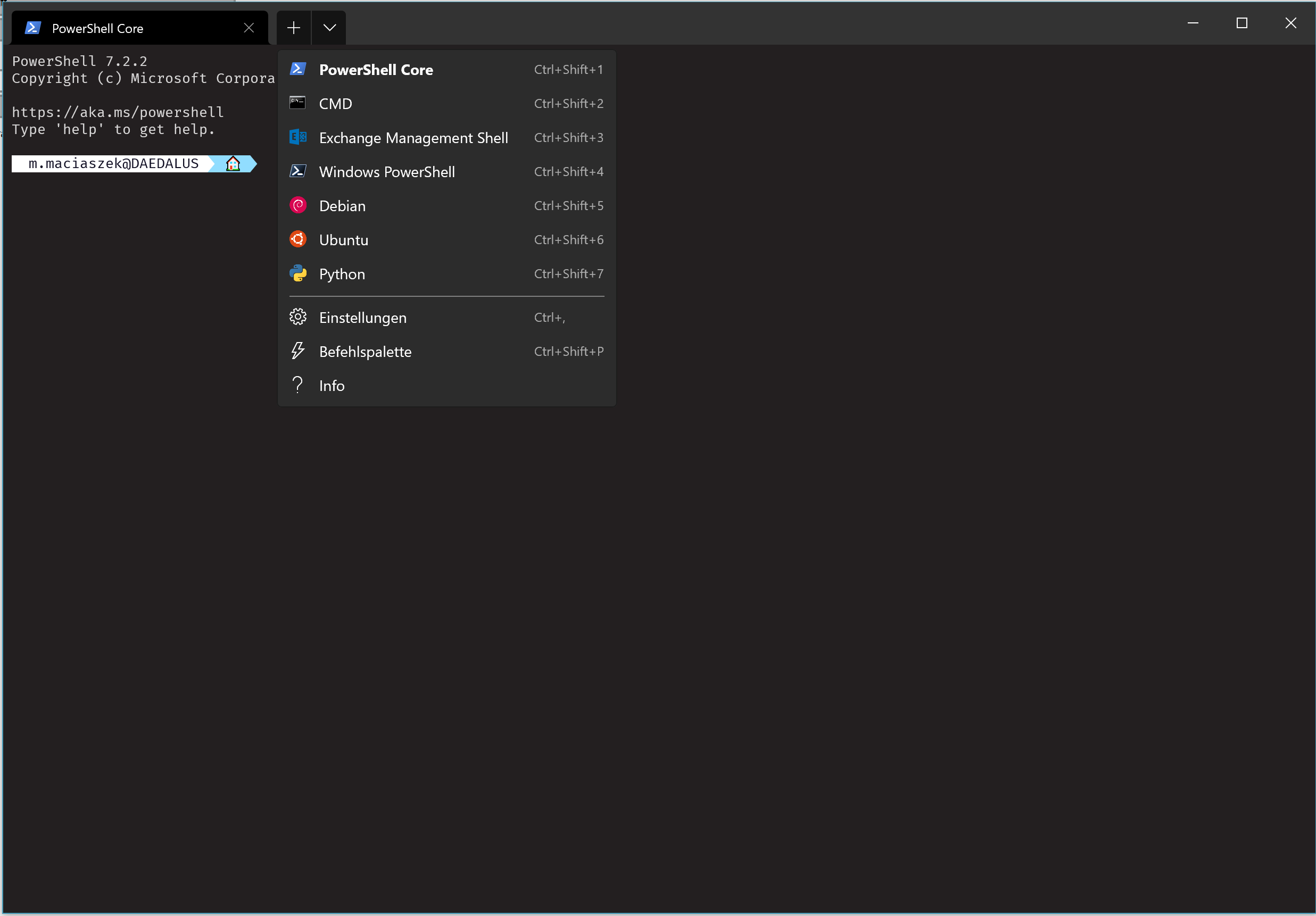 Windows Terminal profiles menu